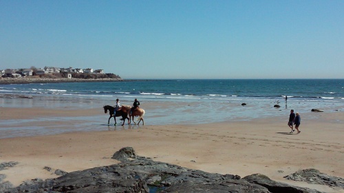 The twins were excited to see people riding horses on the beach